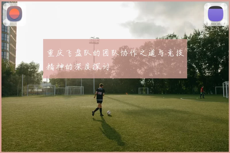 重庆飞盘队的团队协作之道与竞技精神的深度探讨