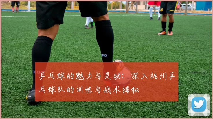 乒乓球的魅力与灵动：深入杭州乒乓球队的训练与战术揭秘