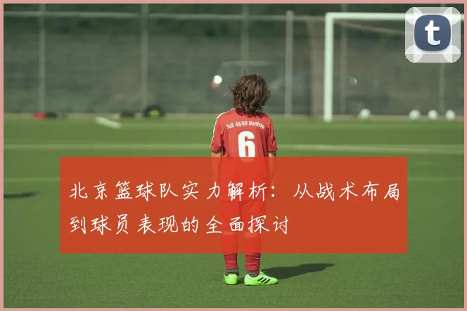 北京篮球队实力解析：从战术布局到球员表现的全面探讨