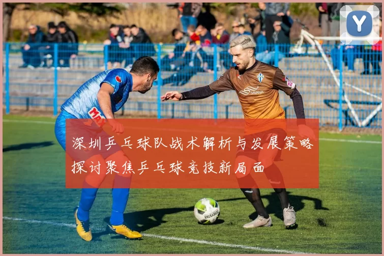 深圳乒乓球队战术解析与发展策略探讨聚焦乒乓球竞技新局面