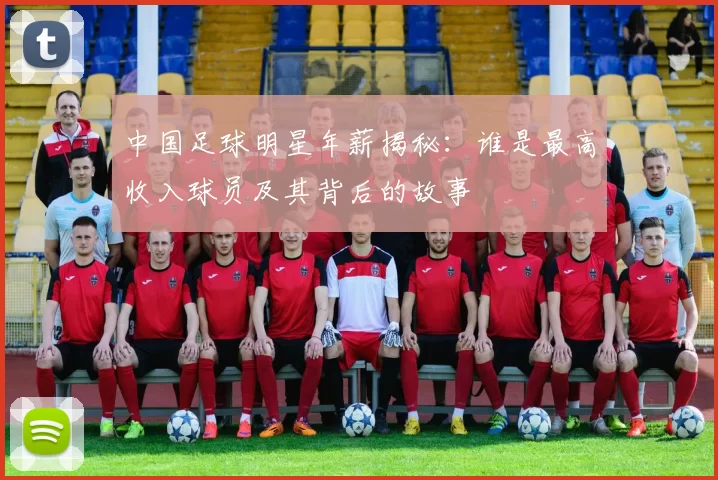 中国足球明星年薪揭秘：谁是最高收入球员及其背后的故事