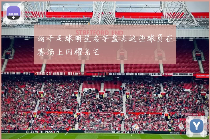 狗子足球明星名字盘点这些球员在赛场上闪耀光芒