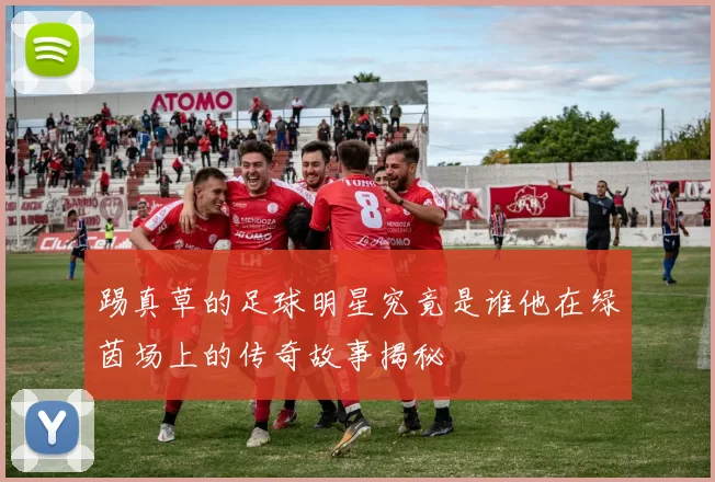 踢真草的足球明星究竟是谁他在绿茵场上的传奇故事揭秘