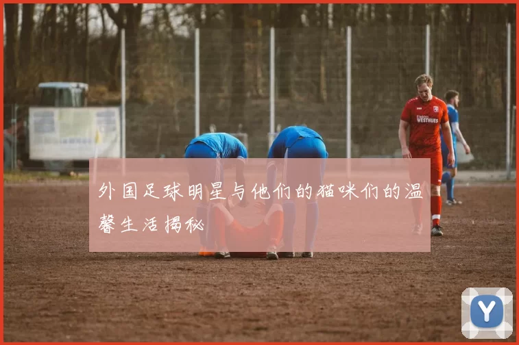 外国足球明星与他们的猫咪们的温馨生活揭秘