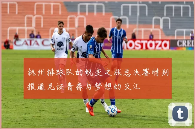 杭州排球队的蜕变之旅总决赛特别报道见证青春与梦想的交汇