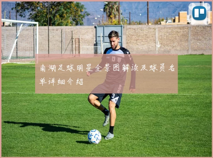 南湖足球明星全景图解读及球员名单详细介绍