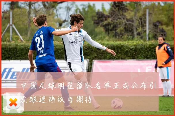 中国足球明星留队名单正式公布引发球迷热议与期待