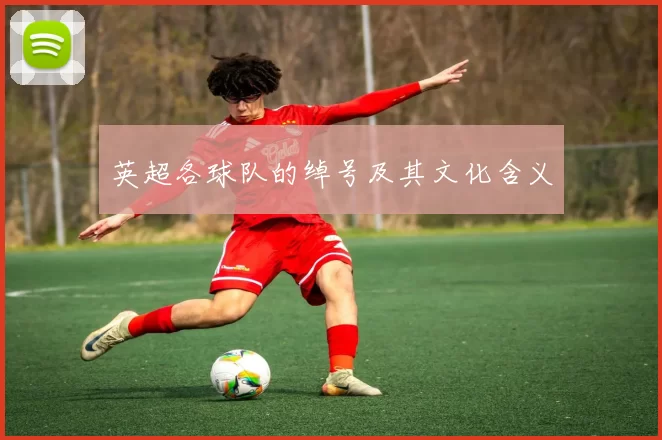 英超各球队的绰号及其文化含义