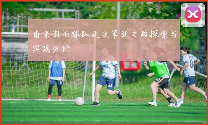 南京羽毛球队进攻革新之路探索与实践分析