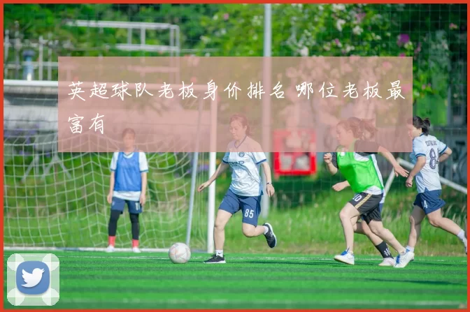 英超球队老板身价排名 哪位老板最富有