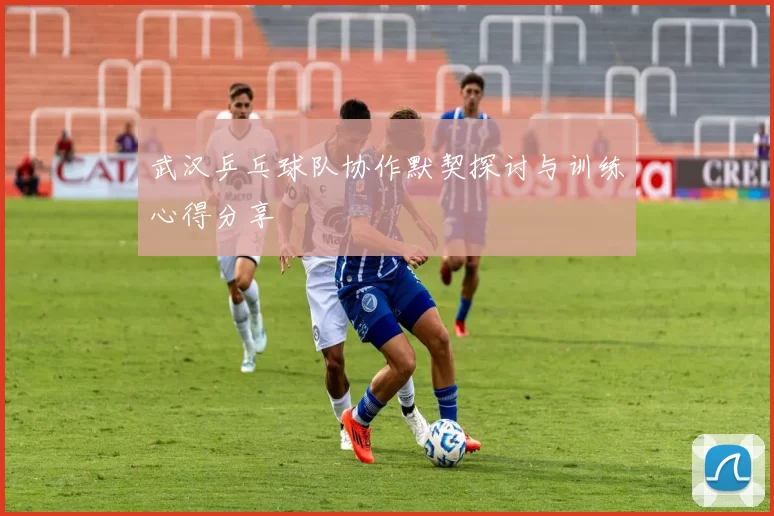 武汉乒乓球队协作默契探讨与训练心得分享