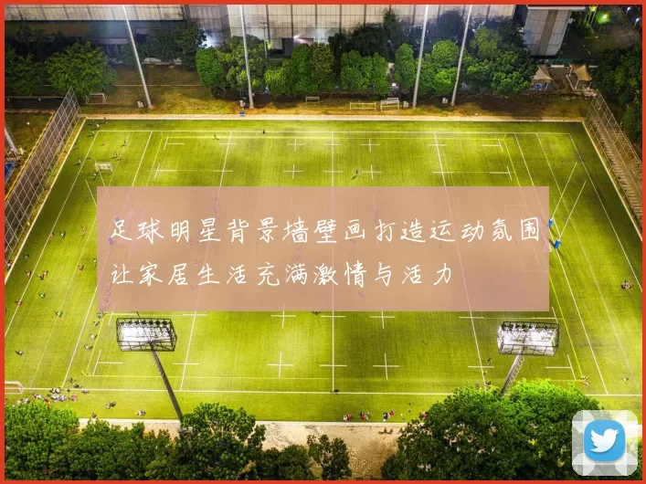 足球明星背景墙壁画打造运动氛围让家居生活充满激情与活力