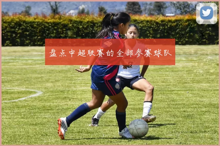 盘点中超联赛的全部参赛球队