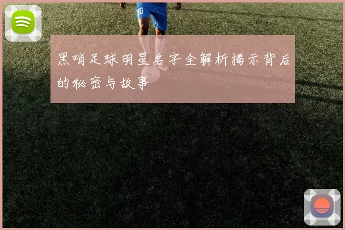 黑哨足球明星名字全解析揭示背后的秘密与故事