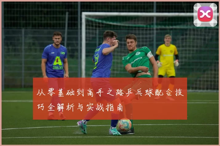 从零基础到高手之路乒乓球配合技巧全解析与实战指南