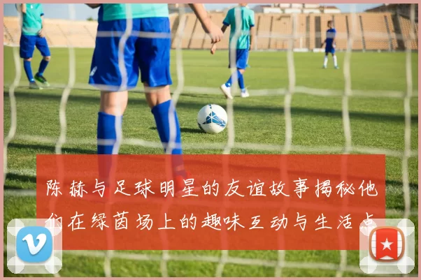 陈赫与足球明星的友谊故事揭秘他们在绿茵场上的趣味互动与生活点滴