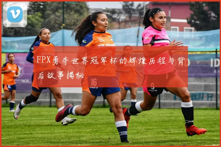 FPX勇夺世界冠军杯的辉煌历程与背后故事揭秘