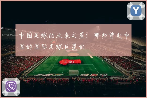 中国足球的未来之星：那些曾赴中国的国际足球巨星们