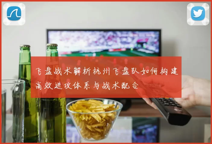 飞盘战术解析杭州飞盘队如何构建高效进攻体系与战术配合