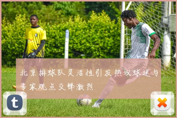 北京排球队灵活性引发热议球迷与专家观点交锋激烈